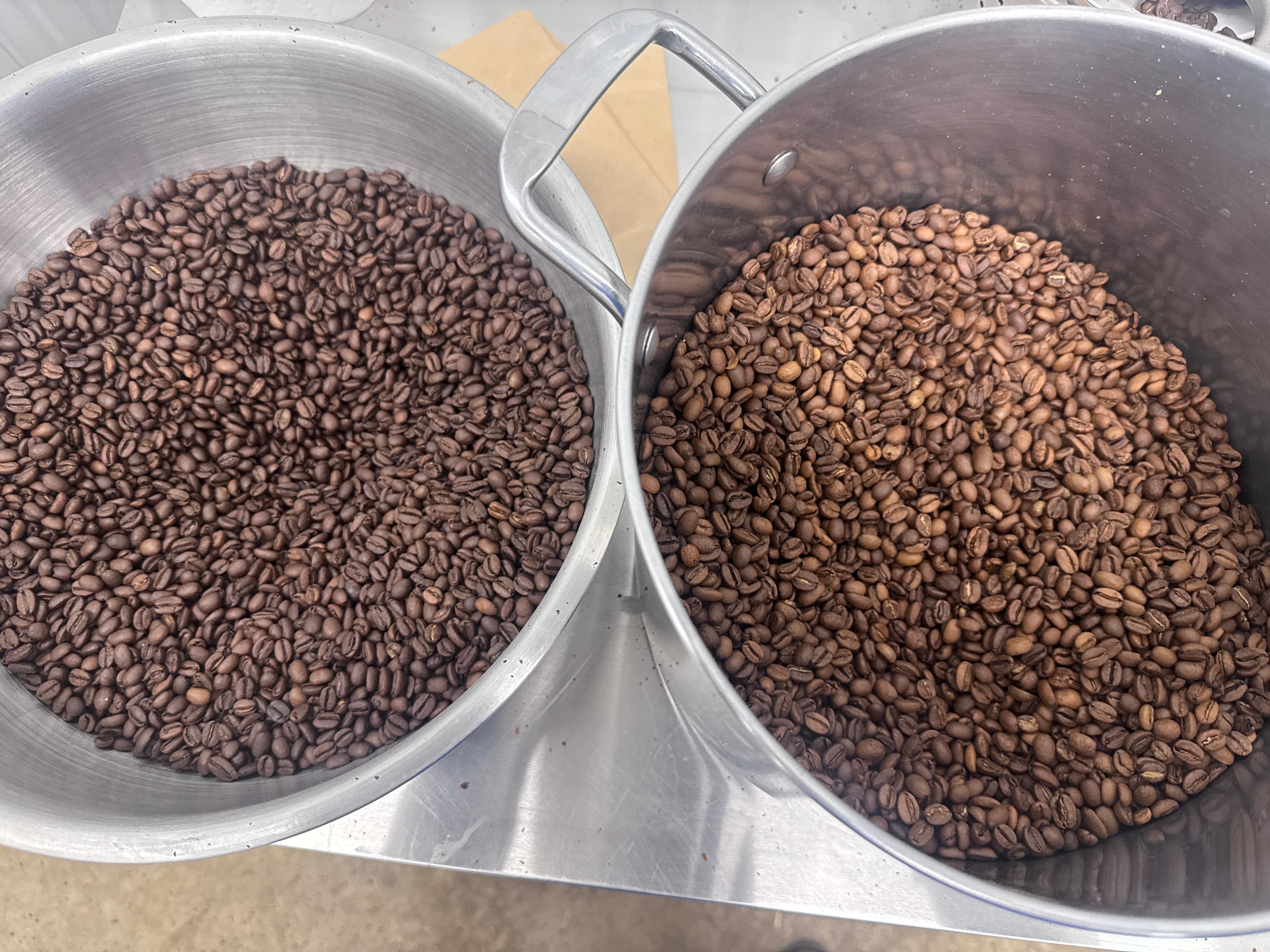 Mold in Coffee: What the Science Actually Says — Deer Run Acres farm blog