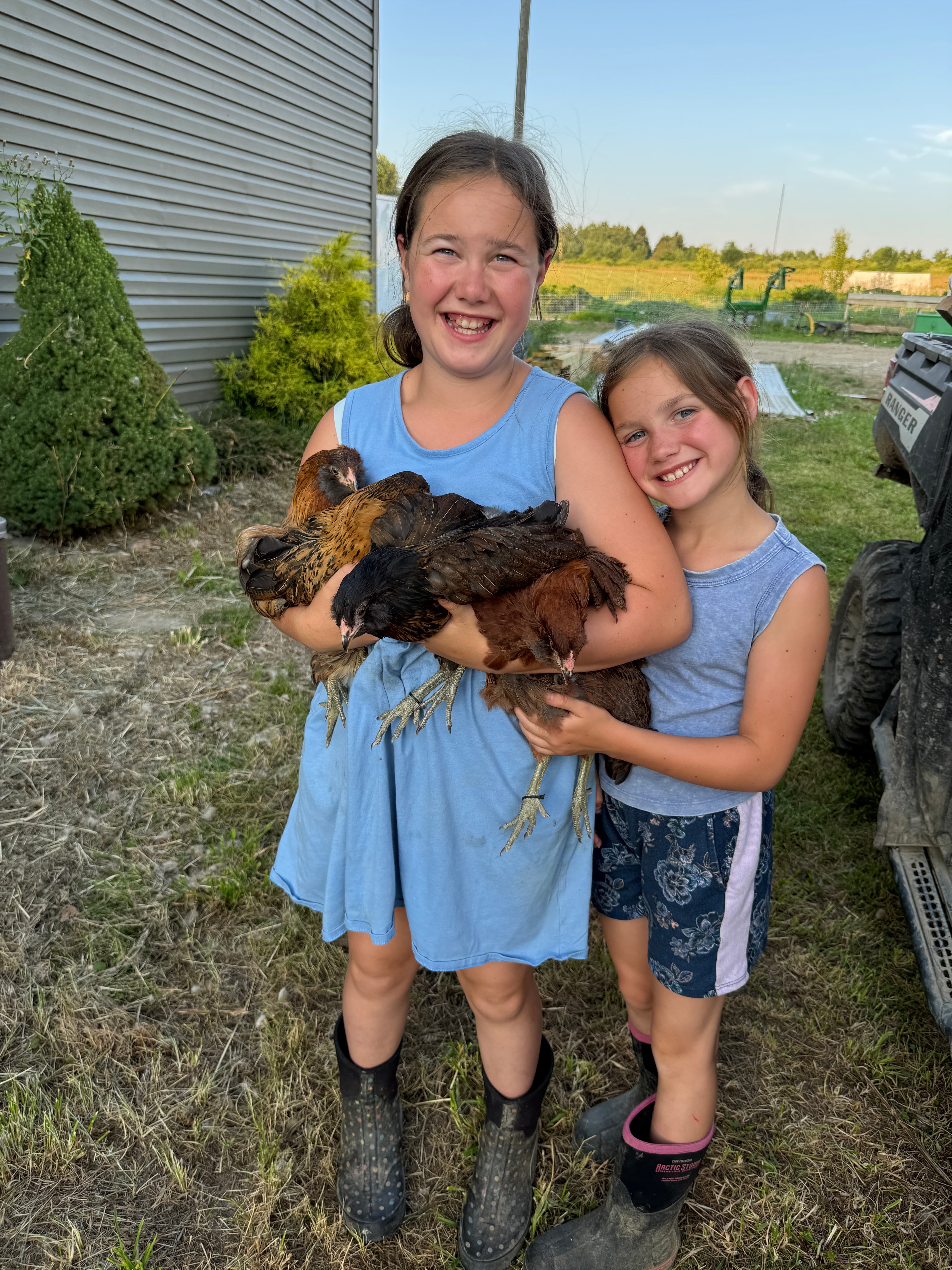 From Hatch to Harvest: The Beginner's Complete Guide to Raising Pasture-Raised Laying Hens — Deer Run Acres farm blog