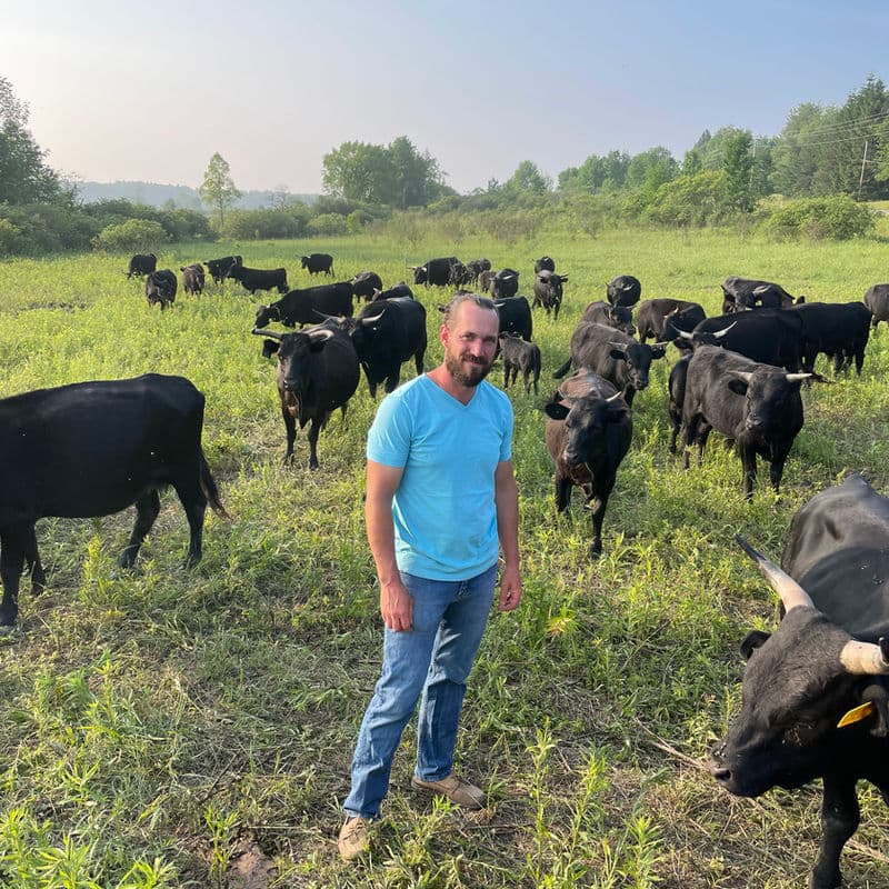 Caleb Schenk walking among his grass-fed cattle herd on open pasture at Deer Run Acres