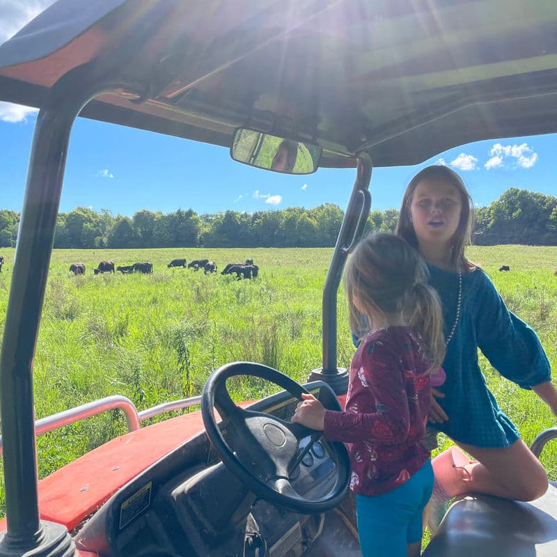 Next generation learning about farming — kids on tractor overlooking pasture and cattle