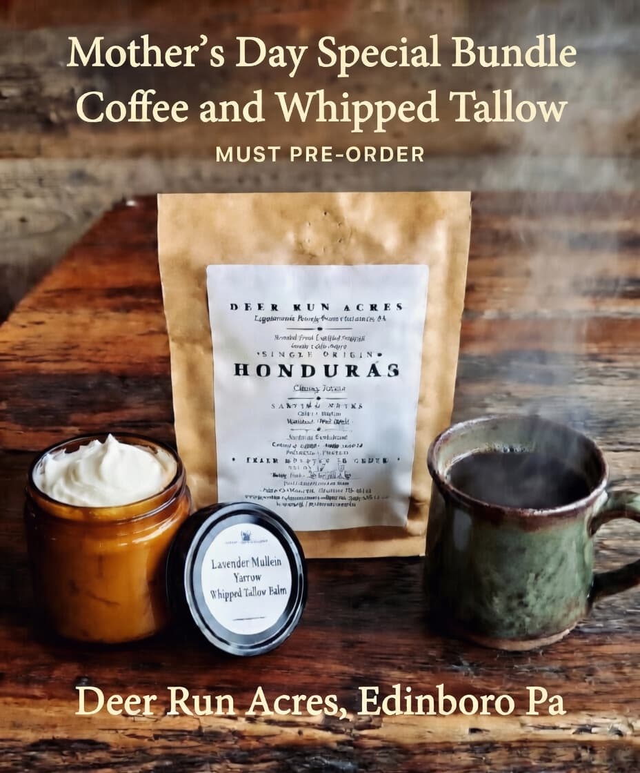 Mother's Day Special Bundle — Coffee & Whipped Tallow from Deer Run Acres — Treat Mom to an 8oz bag of small-batch roasted coffee paired with a 1oz jar of 1